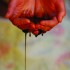 Photo by Carol-Lynne Michaels/Nexus.