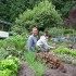 The authors of Sow Simple get their hands dirty (photo submitted).