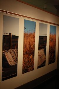 Camosun artist in residence Megan Quigley’s Mother Tongue project is up now at Camosun’s Lansdowne campus (photo by Adam Marsh/Nexus).